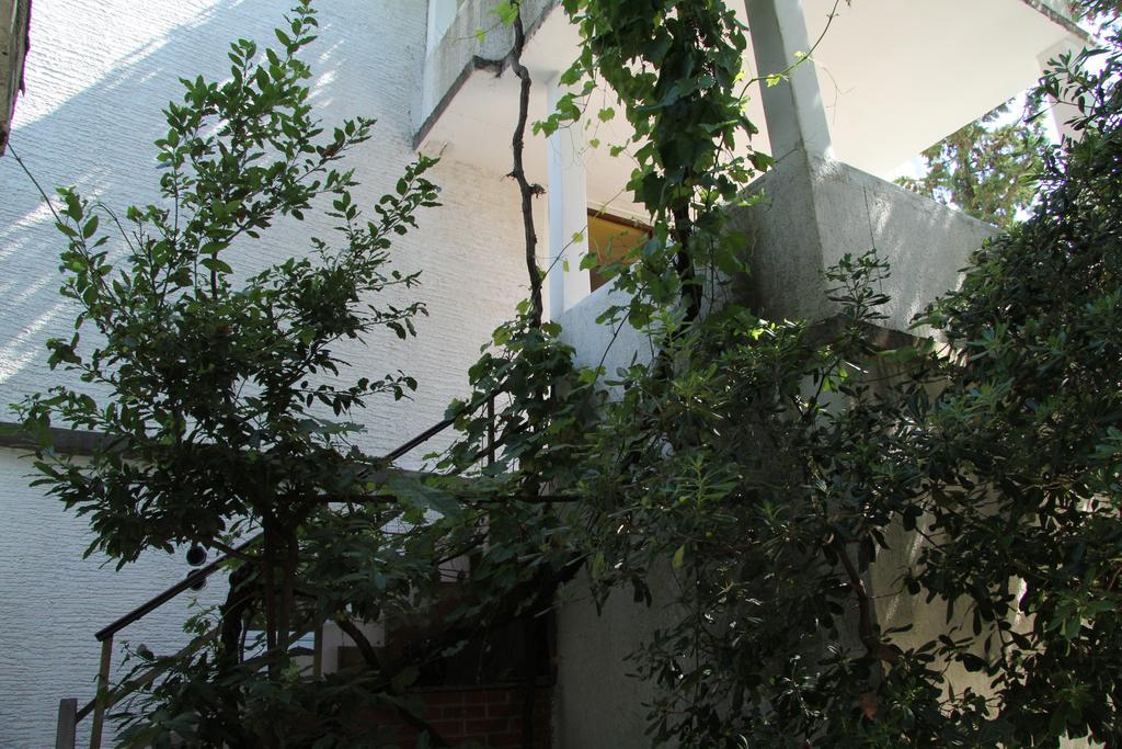 Novalja Guesthouse Economy Rooms Bagian luar foto